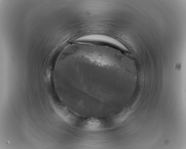 X0000091950214200709131210