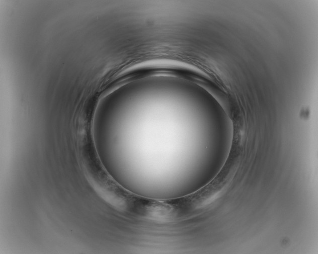 X0000091950215200709131210