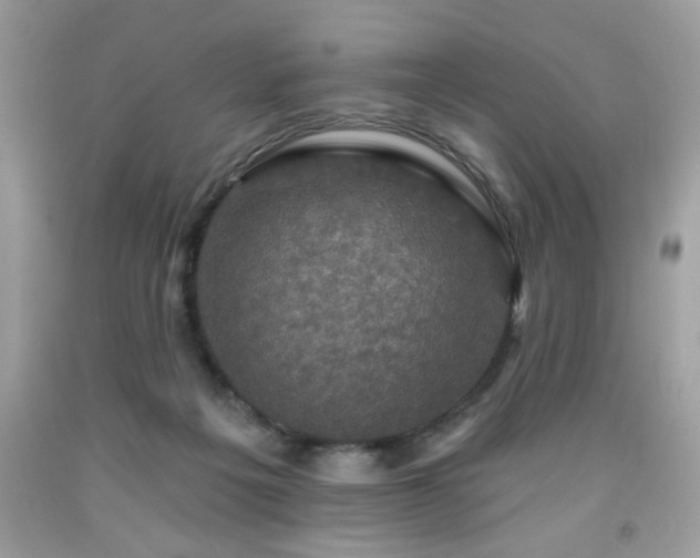 X0000091950217200709131210