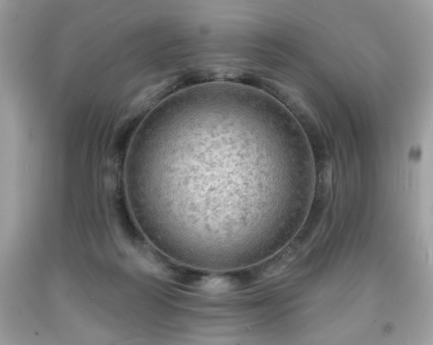 X0000091950218200709131210