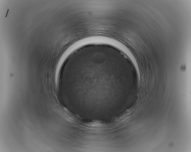 X0000091950219200709131210