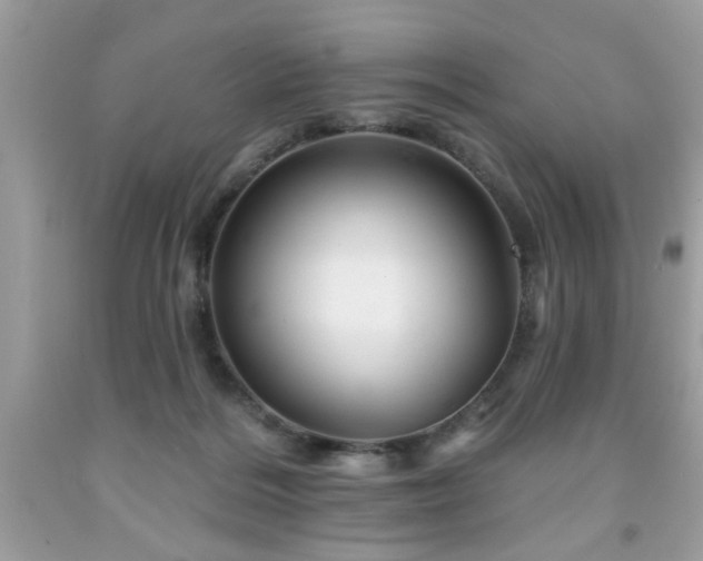 X0000091950220200709131210