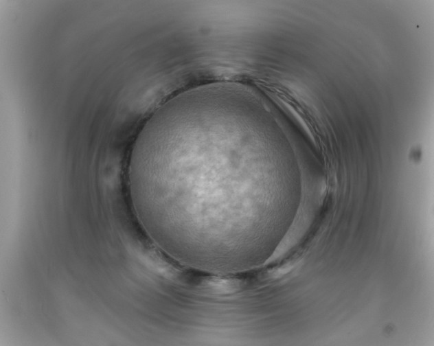 X0000091950221200709131210