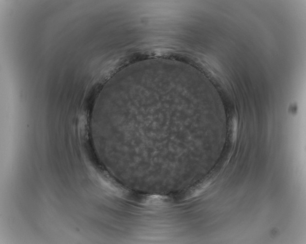 X0000091950222200709131210