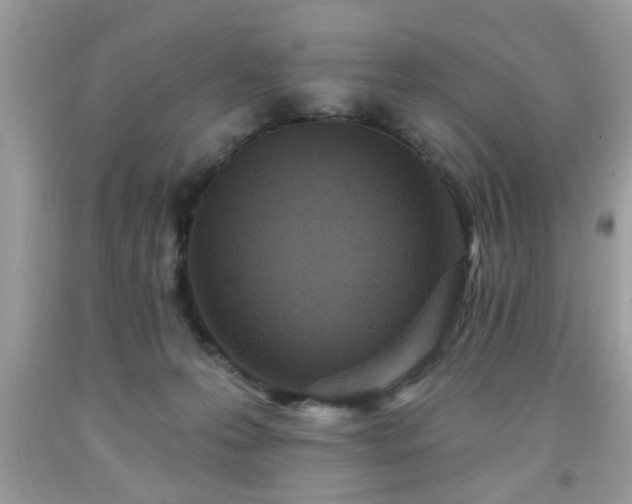 X0000091950223200709131210