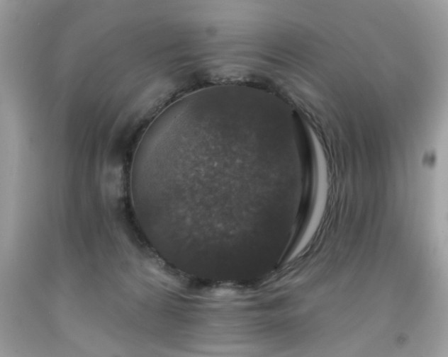 X0000091950224200709131210