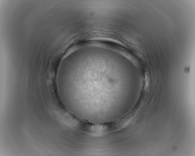 X0000091950225200709131210