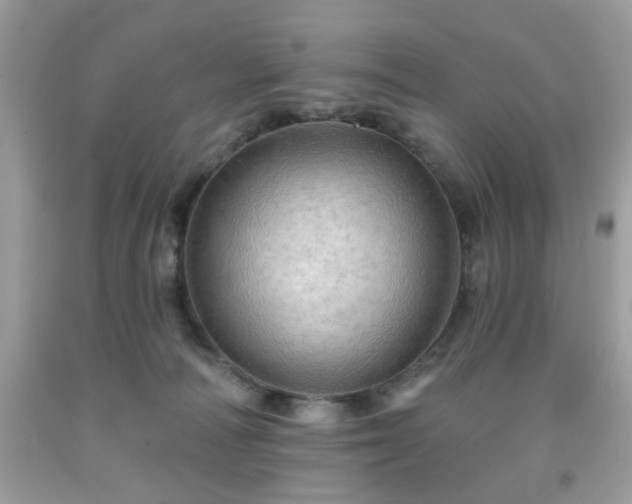 X0000091950226200709131210