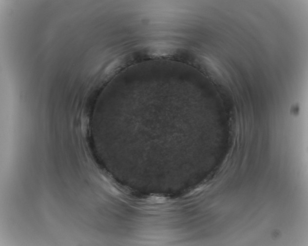 X0000091950227200709131210