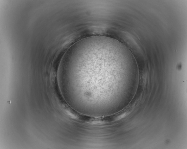 X0000091950228200709131210