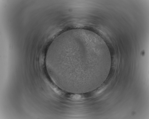 X0000091950230200709131210