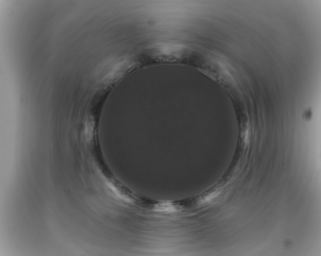 X0000091950231200709131210