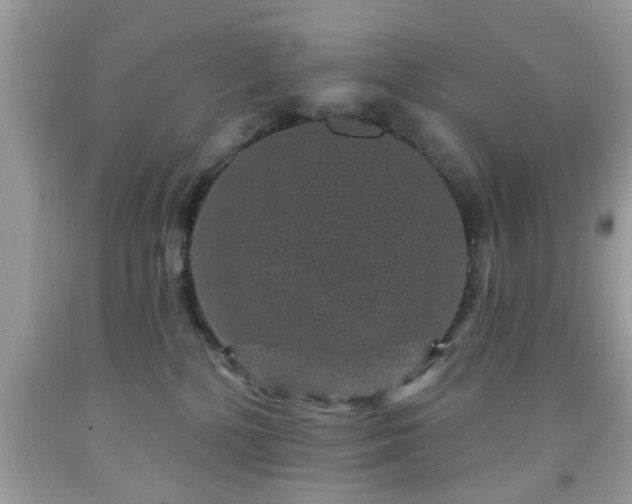 X0000091950232200709131210