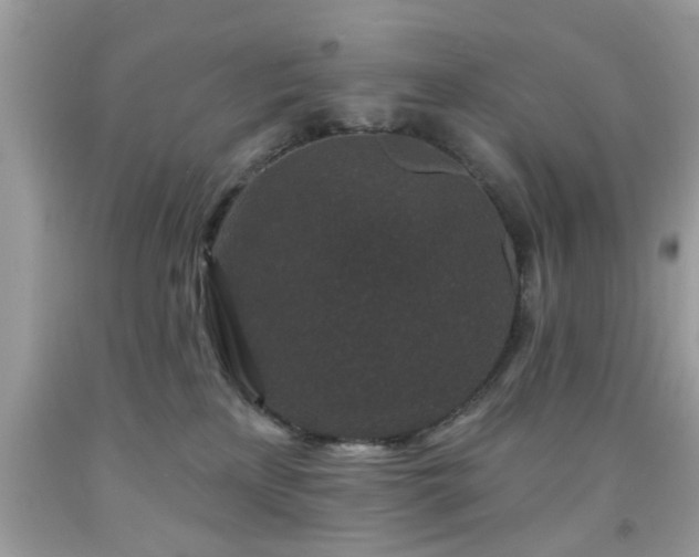 X0000091950233200709131210