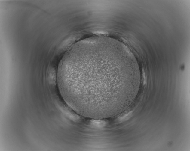 X0000091950234200709131210