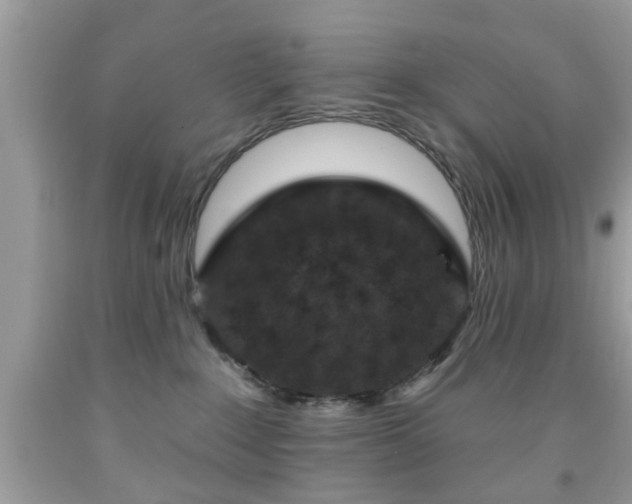 X0000091950235200709131210