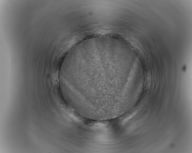 X0000091950236200709131210