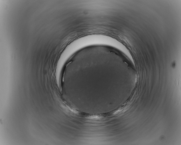 X0000091950237200709131210