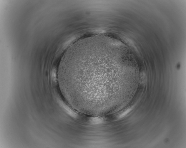 X0000091950238200709131210