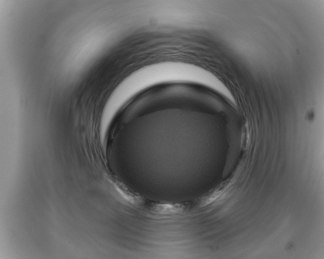 X0000091950239200709131210