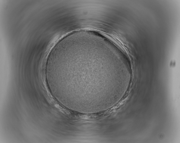 X0000091950241200709131209