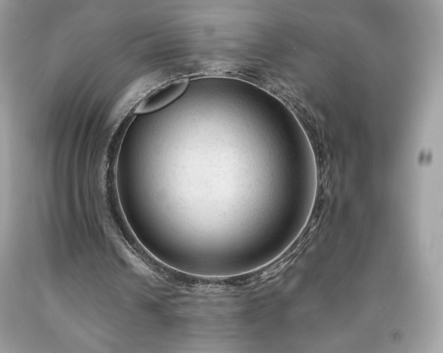 X0000091950242200709131209