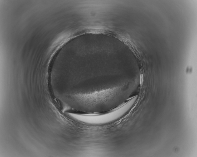 X0000091950243200709131209