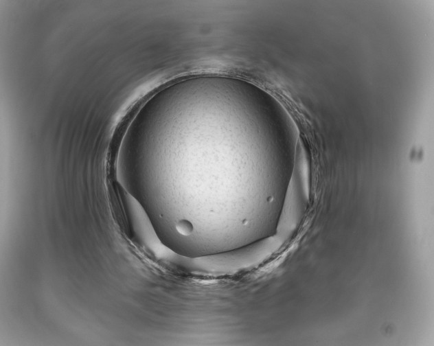 X0000091950244200709131210