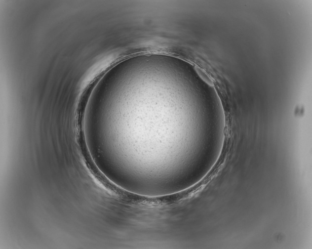 X0000091950245200709131210