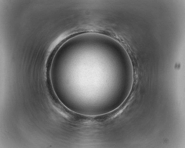 X0000091950246200709131210