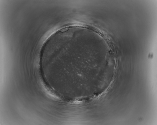 X0000091950247200709131210