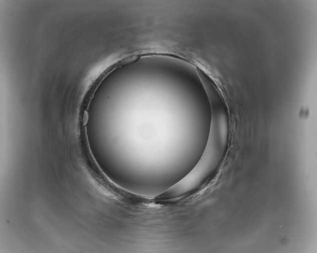 X0000091950248200709131210