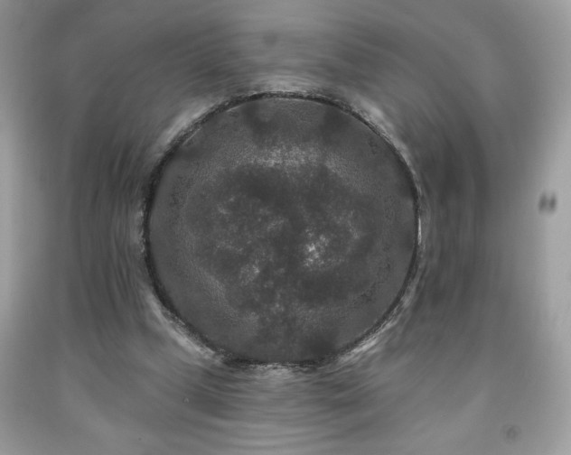 X0000091950249200709131210