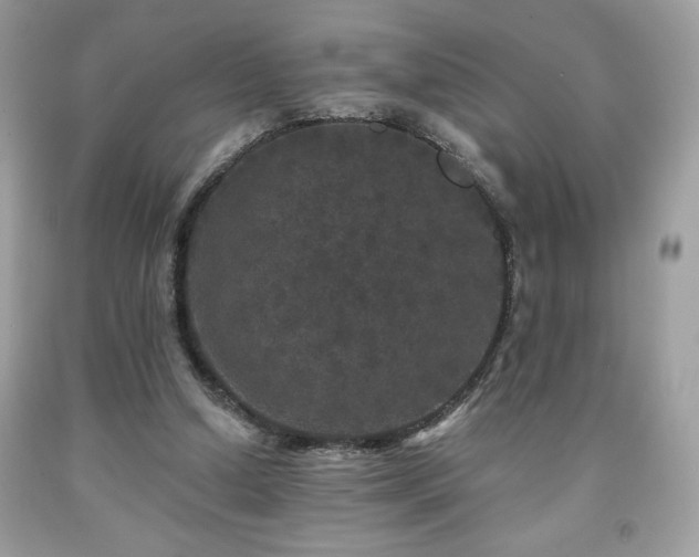 X0000091950250200709131210