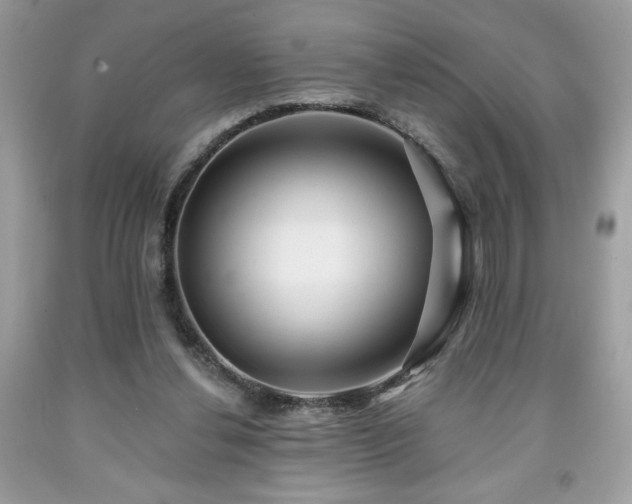 X0000091950252200709131210