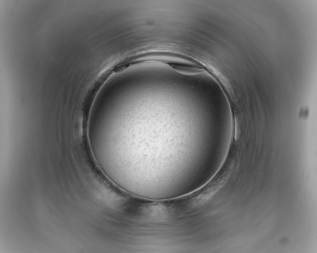 X0000091950253200709131210