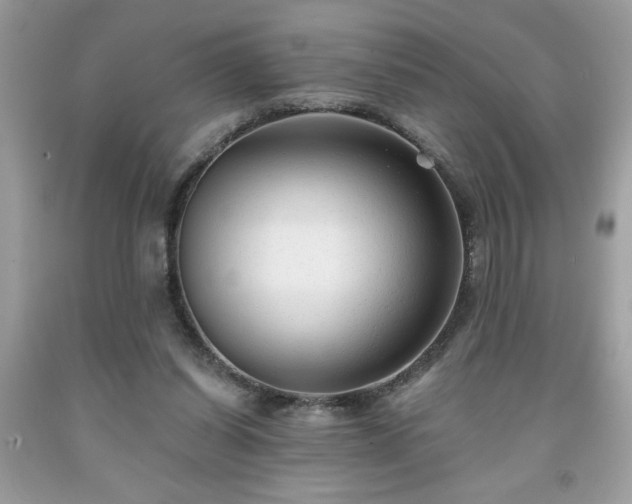 X0000091950254200709131210