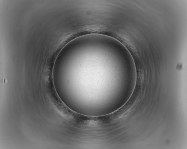 X0000091950255200709131210