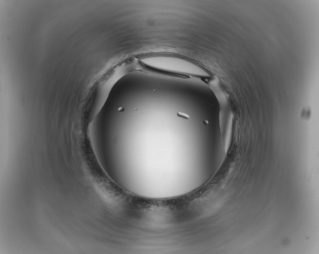 X0000091950256200709131210