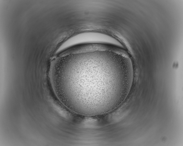 X0000091950257200709131210