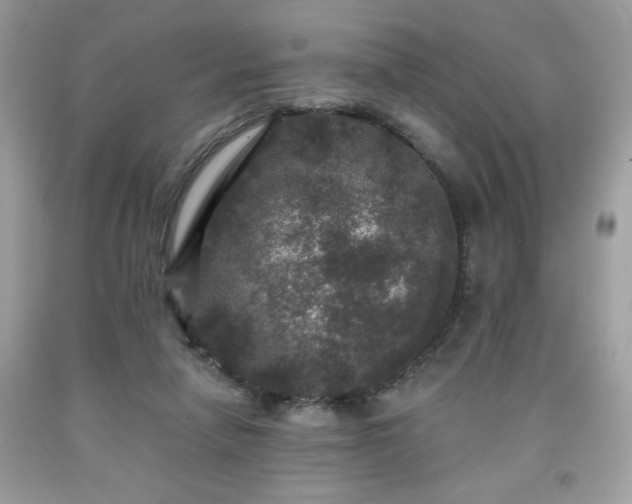 X0000091950258200709131210