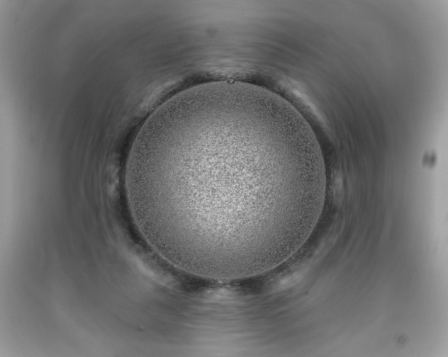 X0000091950259200709131210