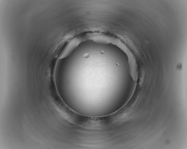 X0000091950260200709131210