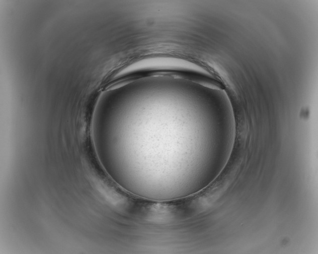 X0000091950261200709131210