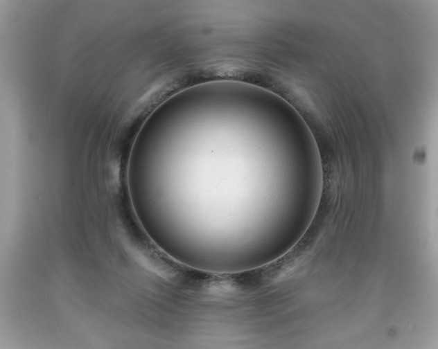 X0000091950262200709131210