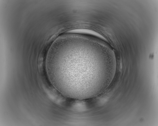 X0000091950263200709131210