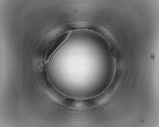 X0000091950264200709131210