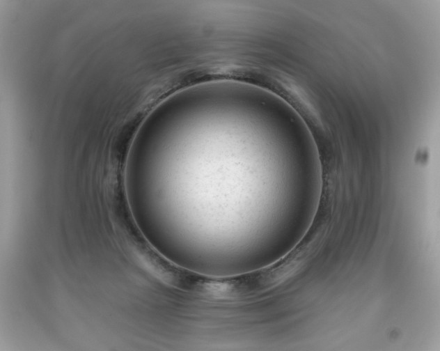 X0000091950265200709131210