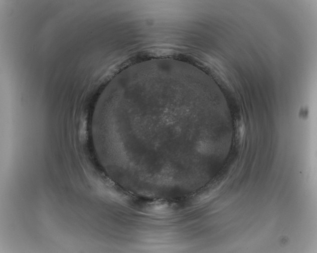 X0000091950267200709131210