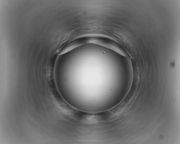 X0000091950268200709131210